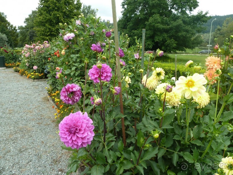 Каринтия и Вена. Хороший австрийский отдых на озере (с песнями).