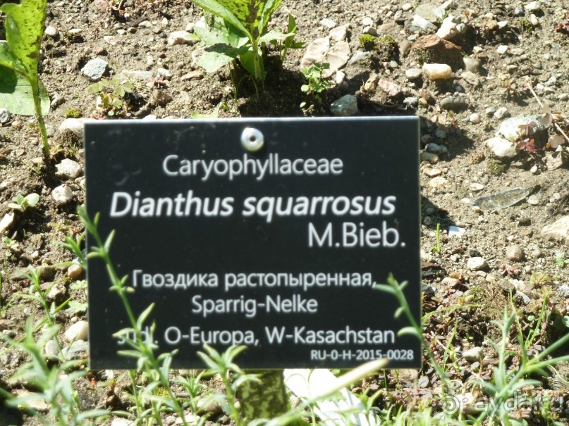 Каринтия и Вена. Хороший австрийский отдых на озере (с песнями).