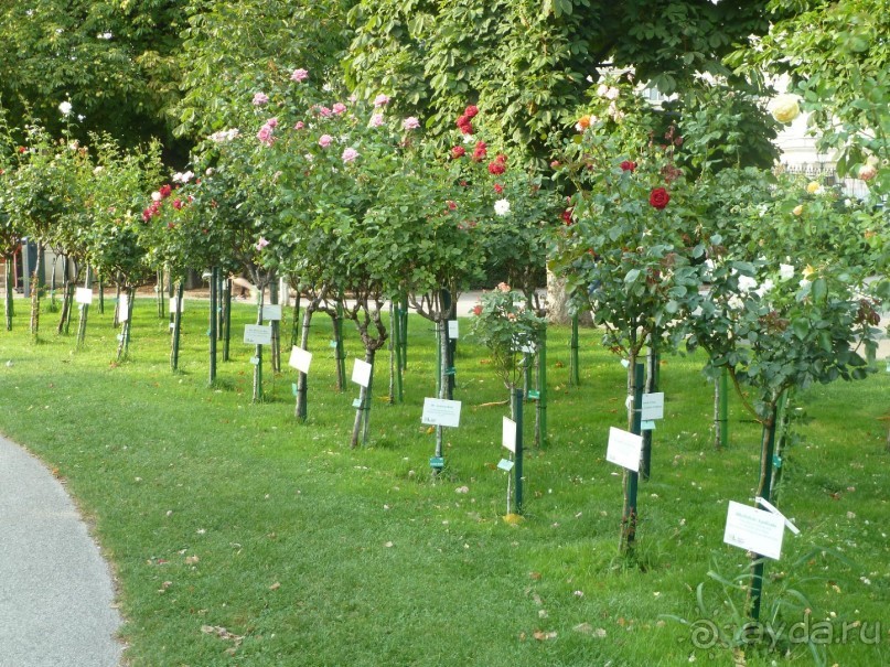 Каринтия и Вена. Хороший австрийский отдых на озере (с песнями).