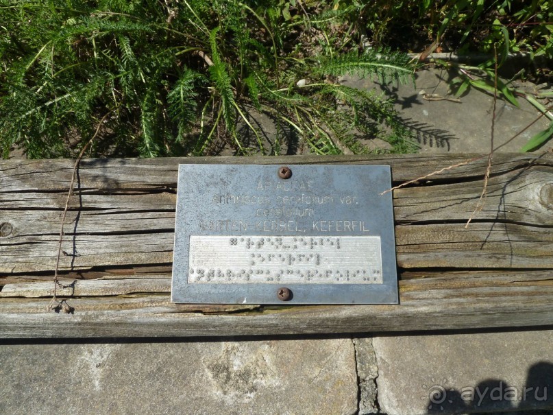 Каринтия и Вена. Хороший австрийский отдых на озере (с песнями).