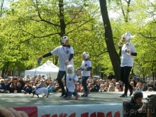 Альбом отзыва "Летние праздники и события в Санкт-Петербурге. Краткий путеводитель."