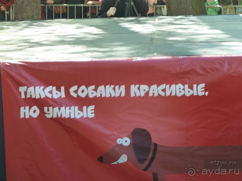 Летние праздники и события в Санкт-Петербурге. Краткий путеводитель.