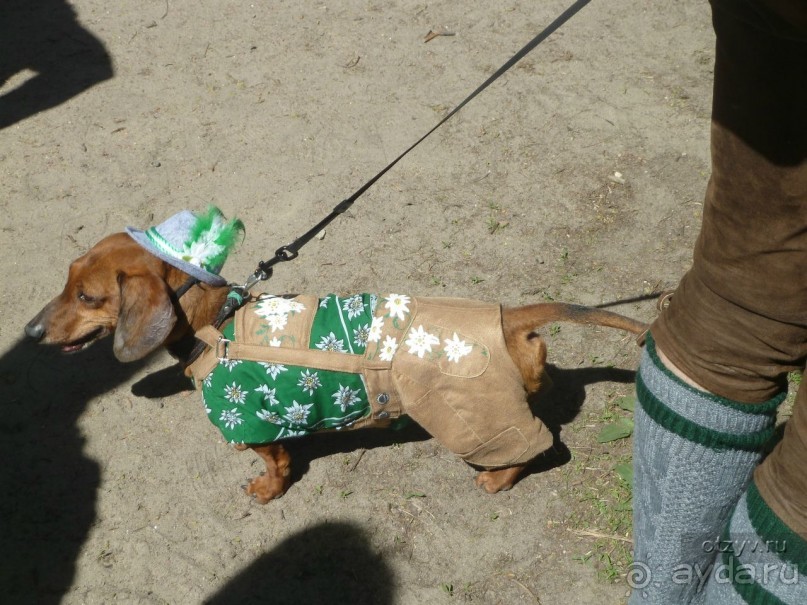 Летние праздники и события в Санкт-Петербурге. Краткий путеводитель.