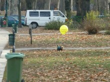 Будапешт. Поездка перед Рождеством.