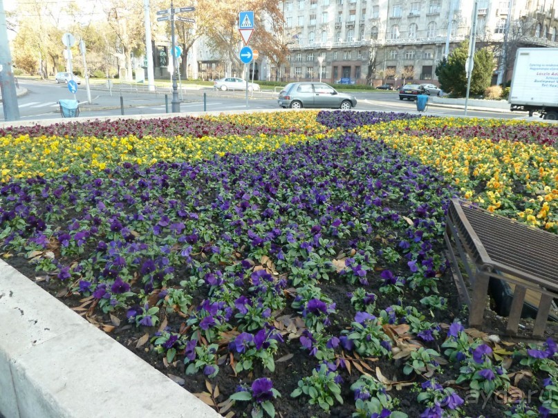 Будапешт. Поездка перед Рождеством.