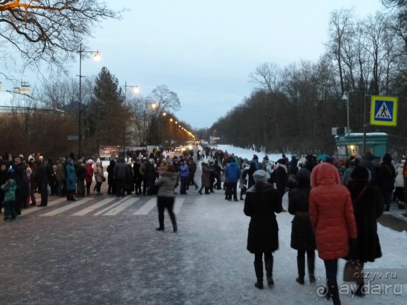 Праздник света в Царском Селе
