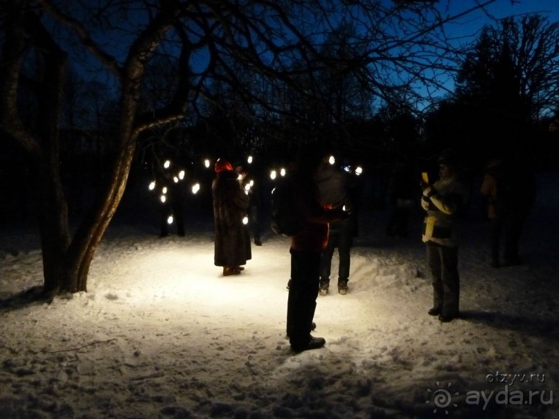 Праздник света в Царском Селе