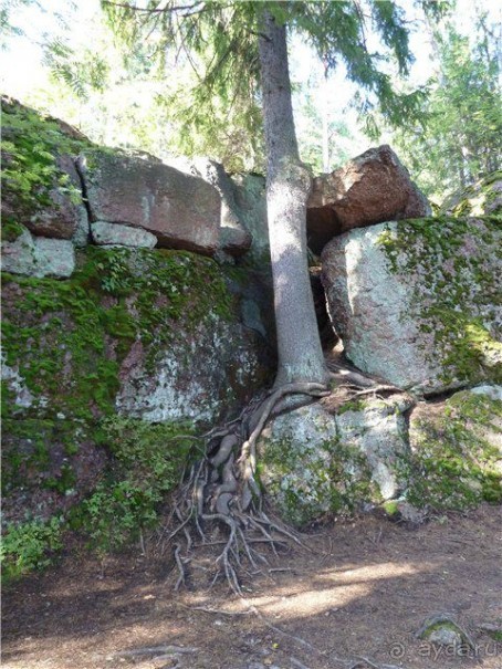 Шведско-финско-русский город Выборг.