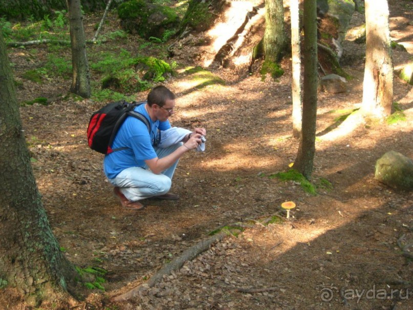 Шведско-финско-русский город Выборг.
