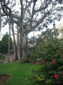 Лазурный берег весной. Ницца, Канны и окрестности.