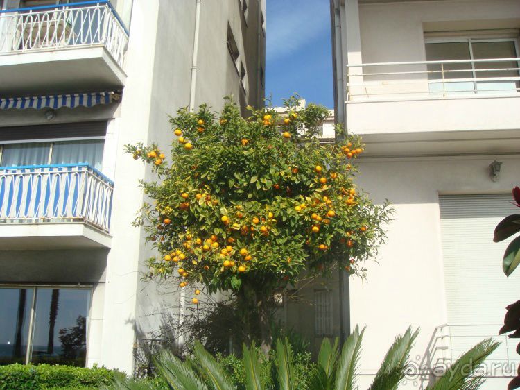 Лазурный берег весной. Ницца, Канны и окрестности.