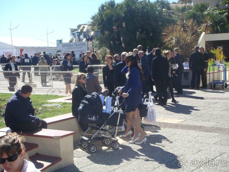 Лазурный берег весной. Ницца, Канны и окрестности. Лазурный берег весной. Ницца, Канны и окрестности.