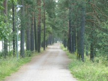 Иматра. Ночь в Замке или Провинция в 200 километрах от Петербурга