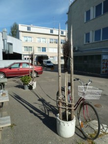 Иматра. Ночь в Замке или Провинция в 200 километрах от Петербурга