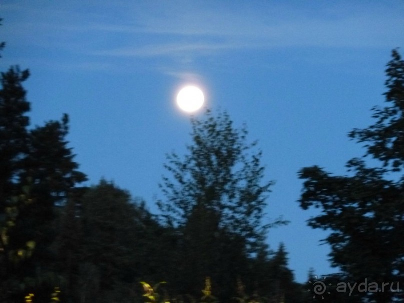 Иматра. Ночь в Замке или Провинция в 200 километрах от Петербурга