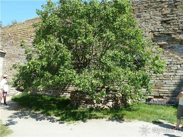 К истокам. Крепость Орешек. Шлиссельбург.