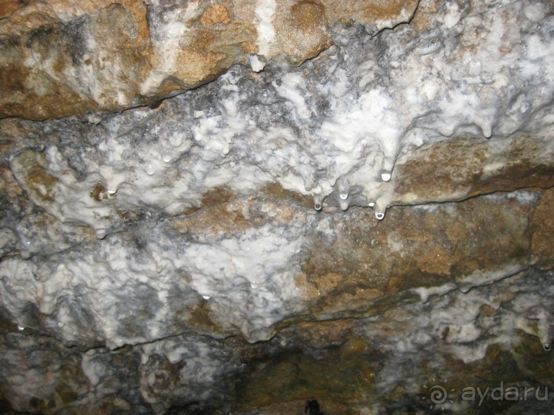 К истокам. Крепость Орешек. Шлиссельбург.