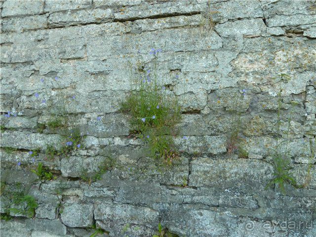 К истокам. Крепость Орешек. Шлиссельбург.