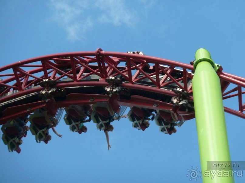 50 мест и событий, которые надо посетить в Санкт-Петербурге летом