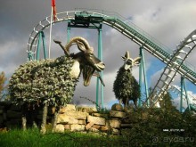 50 мест и событий, которые надо посетить в Санкт-Петербурге летом