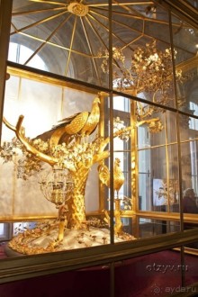 50 мест и событий, которые надо посетить в Санкт-Петербурге летом