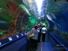 50 мест и событий, которые надо посетить в Санкт-Петербурге летом