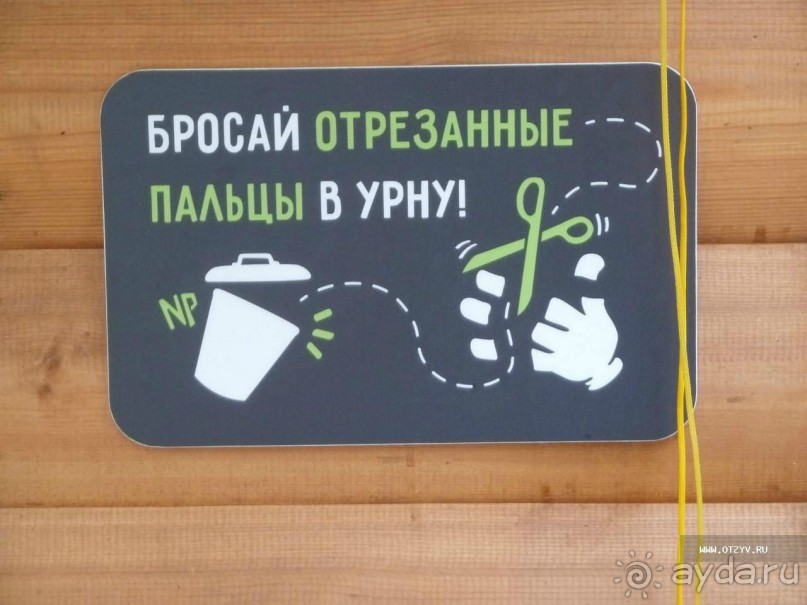 50 мест и событий, которые надо посетить в Санкт-Петербурге летом