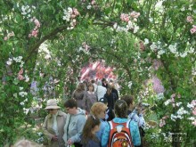 50 мест и событий, которые надо посетить в Санкт-Петербурге летом