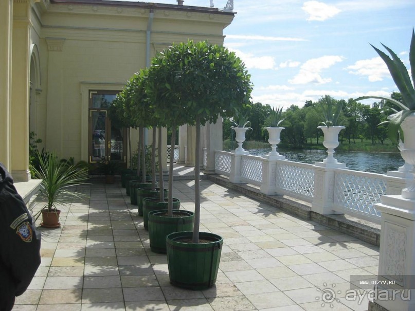 50 мест и событий, которые надо посетить в Санкт-Петербурге летом