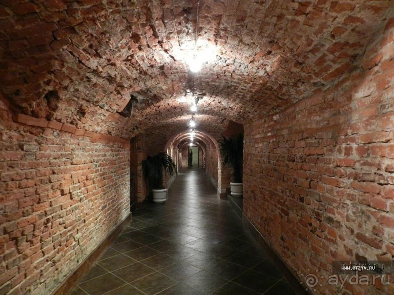 50 мест и событий, которые надо посетить в Санкт-Петербурге летом