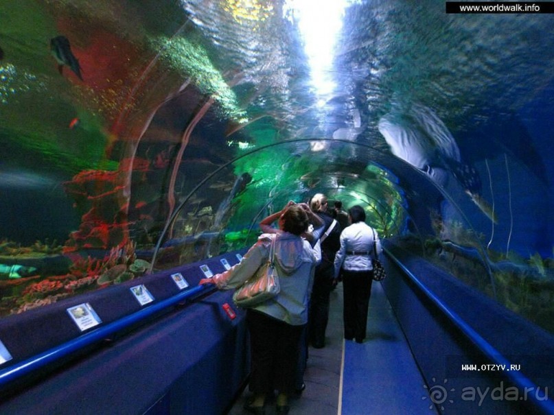 50 мест и событий, которые надо посетить в Санкт-Петербурге летом