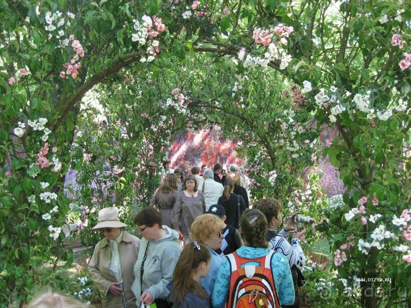 50 мест и событий, которые надо посетить в Санкт-Петербурге летом