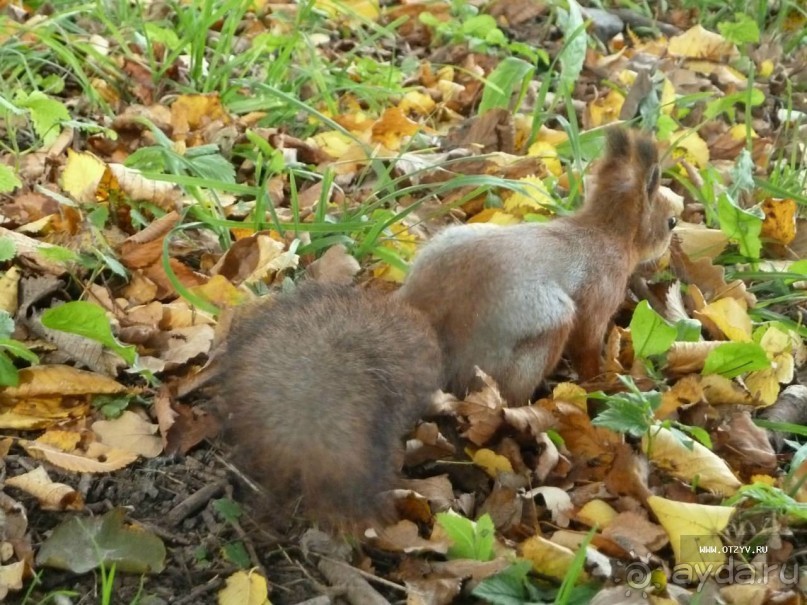 50 мест и событий, которые надо посетить в Санкт-Петербурге летом