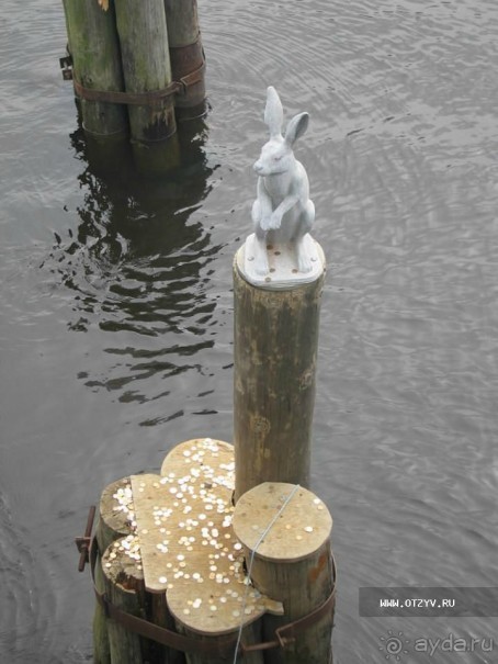 50 мест и событий, которые надо посетить в Санкт-Петербурге летом