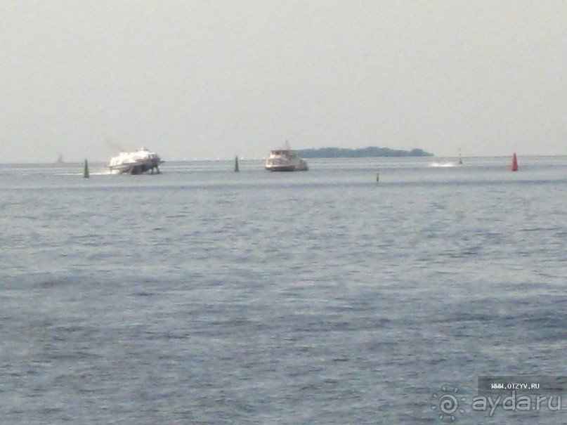 50 мест и событий, которые надо посетить в Санкт-Петербурге летом