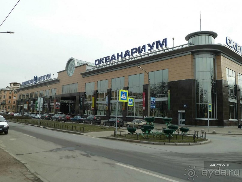 50 мест и событий, которые надо посетить в Санкт-Петербурге летом