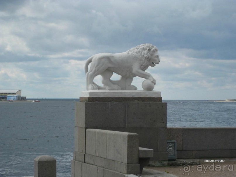 50 мест и событий, которые надо посетить в Санкт-Петербурге летом