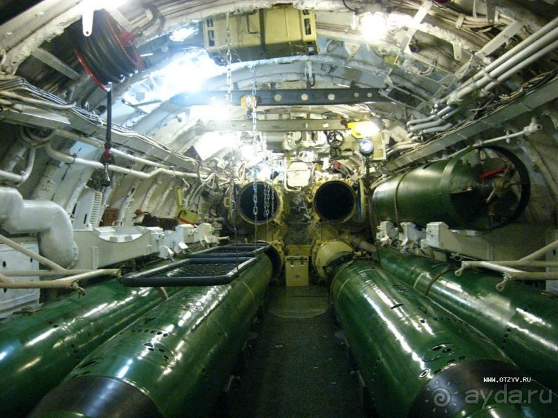 50 мест и событий, которые надо посетить в Санкт-Петербурге летом