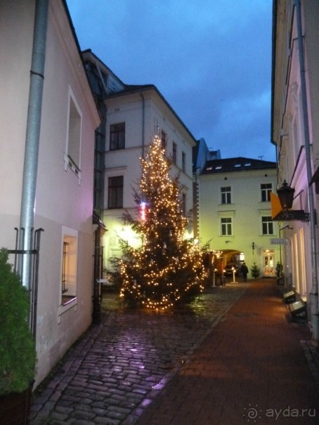 Рига. Первая поездка перед Рождеством. Без снега.