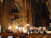 Рига. Первая поездка перед Рождеством. Без снега.