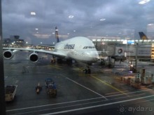 Рождество в Нюрнберге. Эмоциональный репортаж от взрослого мужчины.