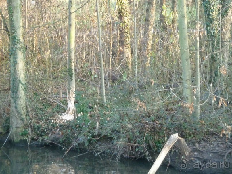 Рождество в Нюрнберге. Эмоциональный репортаж от взрослого мужчины.