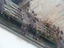 Чудесные рождественские городки Баварии. Ч.1. Фюрт