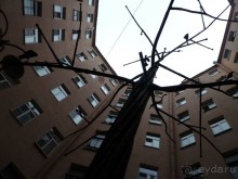 Неформальные памятники в нетуристическом Петербурге.