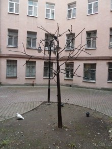 Неформальные памятники в нетуристическом Петербурге.