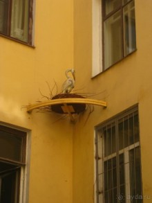 Неформальные памятники в нетуристическом Петербурге.