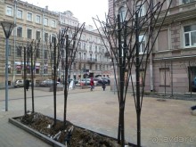 Неформальные памятники в нетуристическом Петербурге.