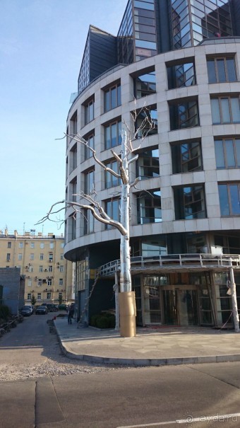 Неформальные памятники в нетуристическом Петербурге.