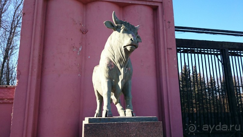 Неформальные памятники в нетуристическом Петербурге.