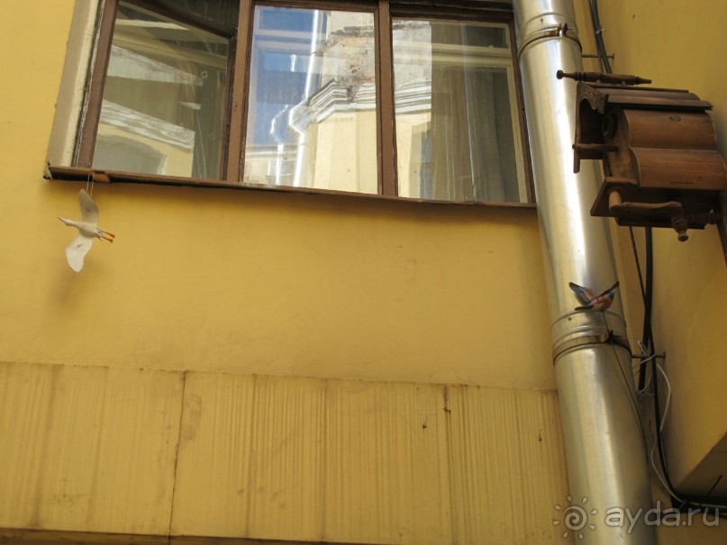 Неформальные памятники в нетуристическом Петербурге.